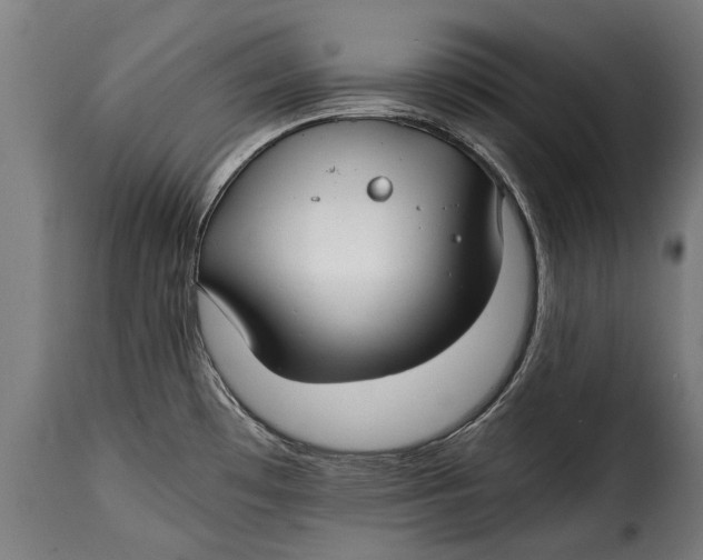 X0000115241481200911201609