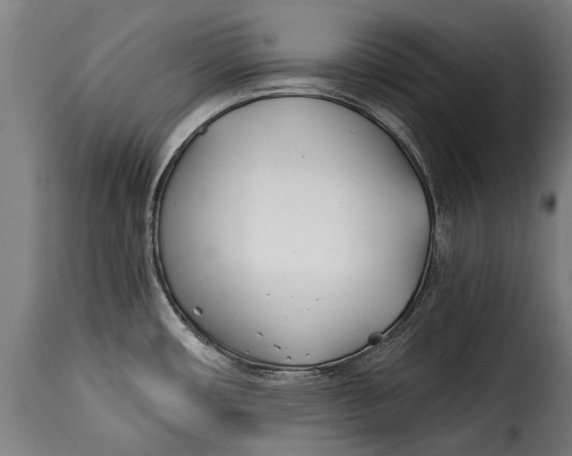X0000115241482200911201609