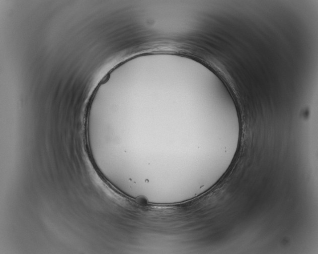 X0000115241483200911201609