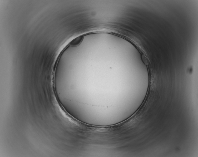 X0000115241484200911201609