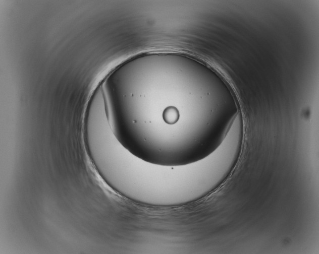 X0000115241485200911201609