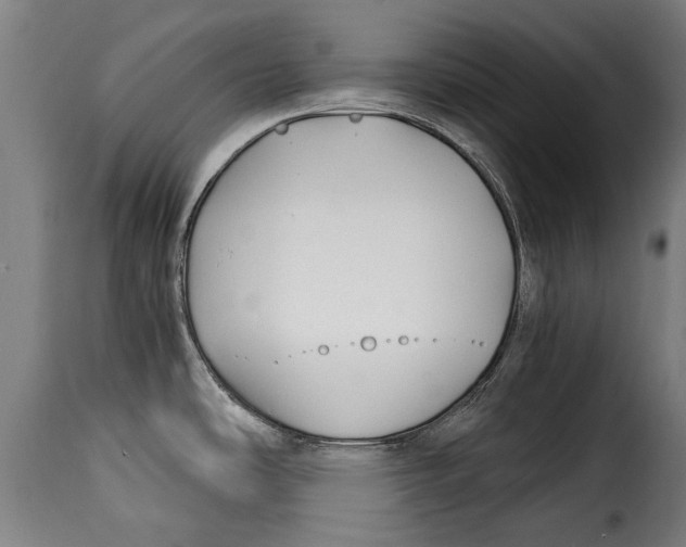 X0000115241486200911201609