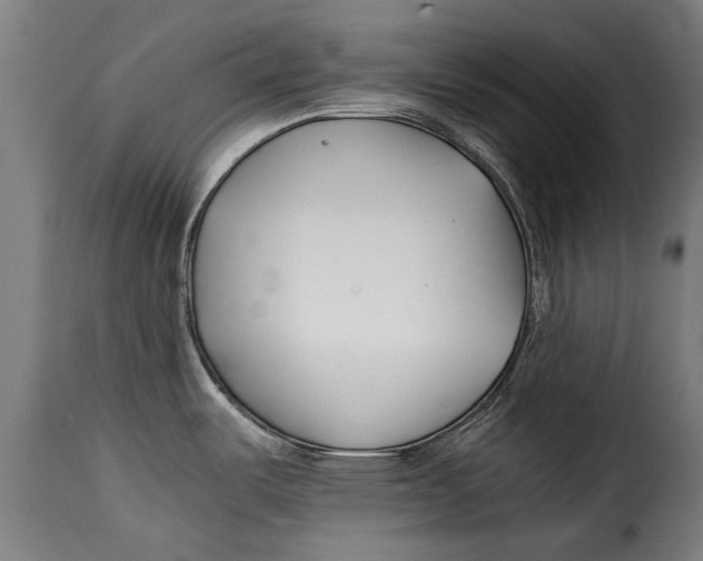 X0000115241487200911201609
