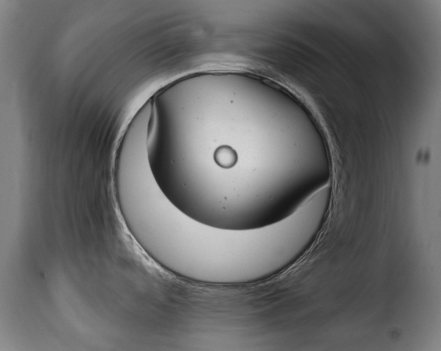 X0000115241488200911201609