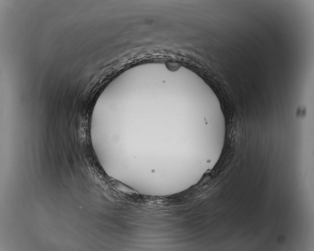 X0000115241490200911201608