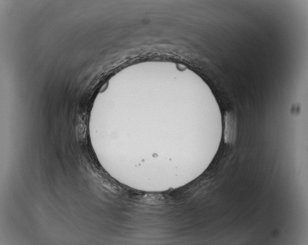 X0000115241491200911201608