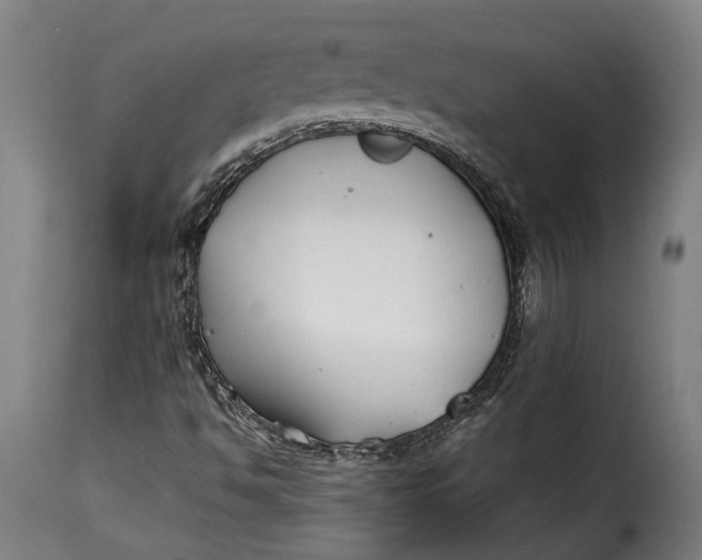 X0000115241494200911201608