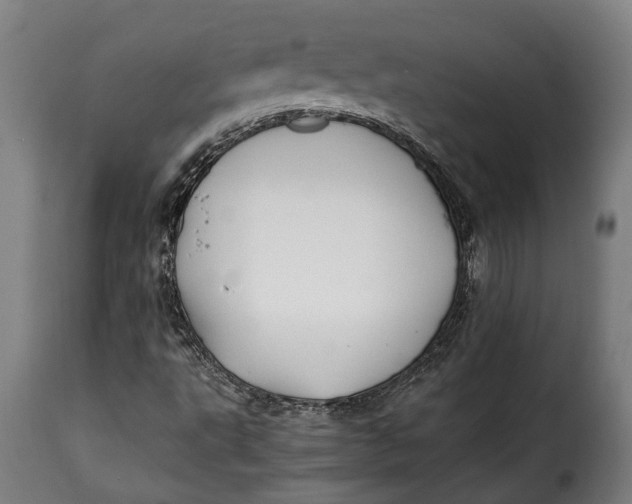 X0000115241495200911201608