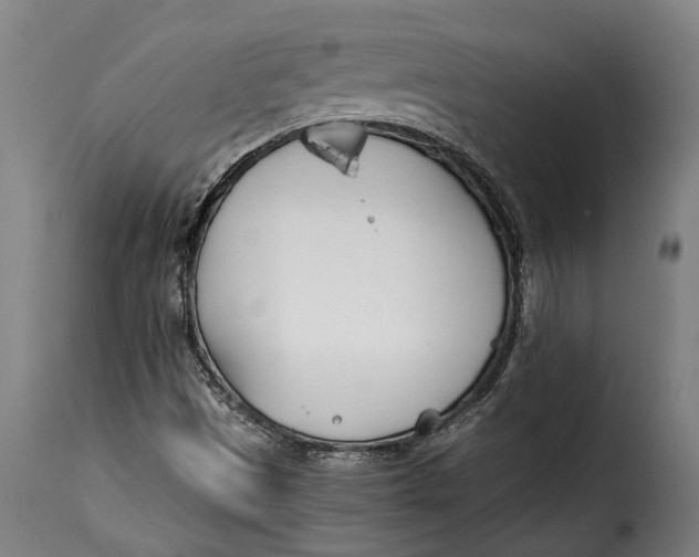 X0000115241497200911201609