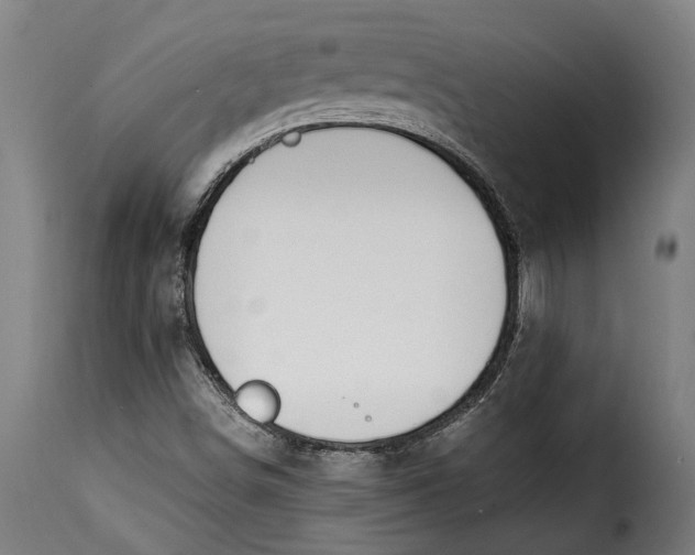 X0000115241498200911201609