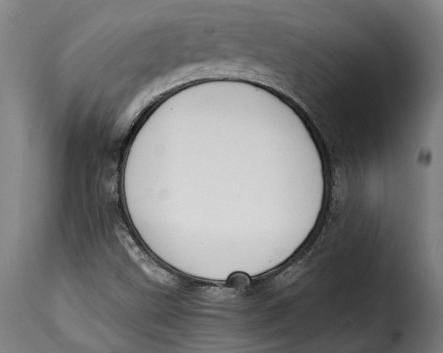 X0000115241499200911201609
