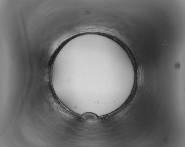 X0000115241501200911201609