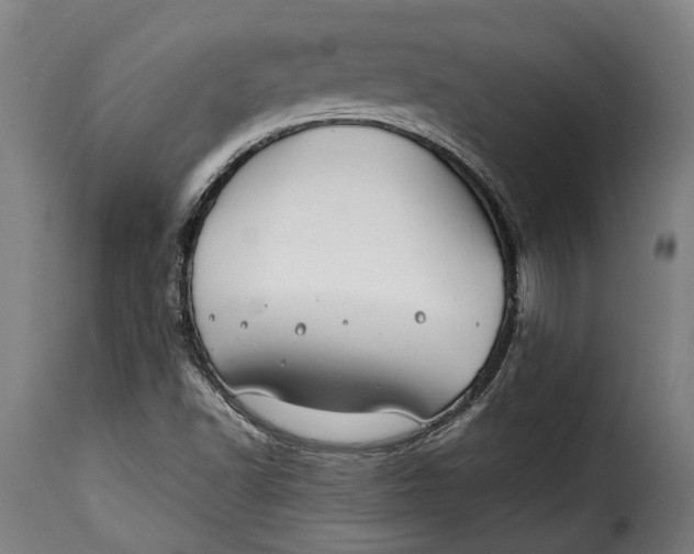 X0000115241502200911201609