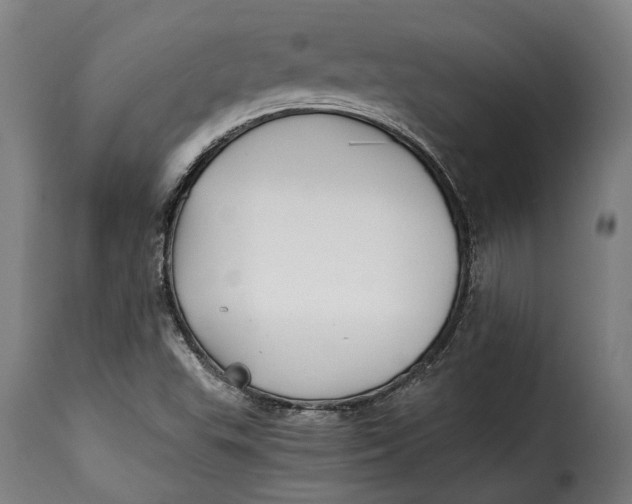 X0000115241503200911201609