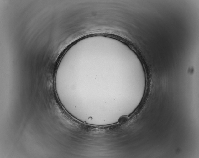 X0000115241505200911201609
