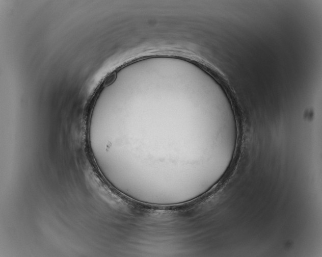 X0000115241506200911201609