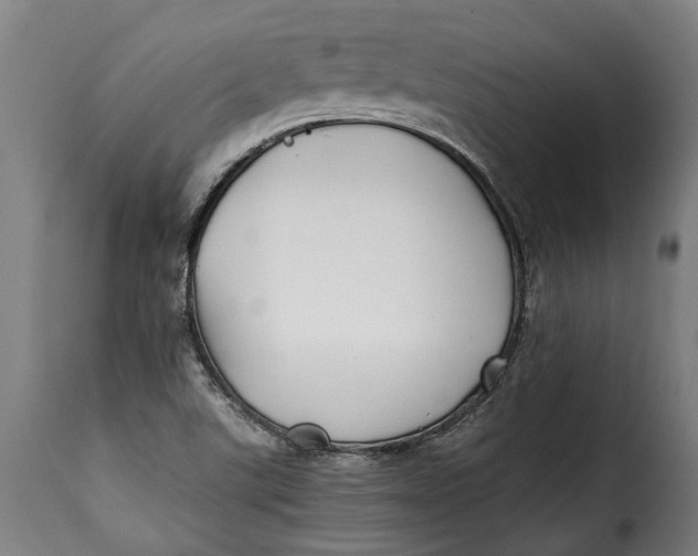X0000115241507200911201609