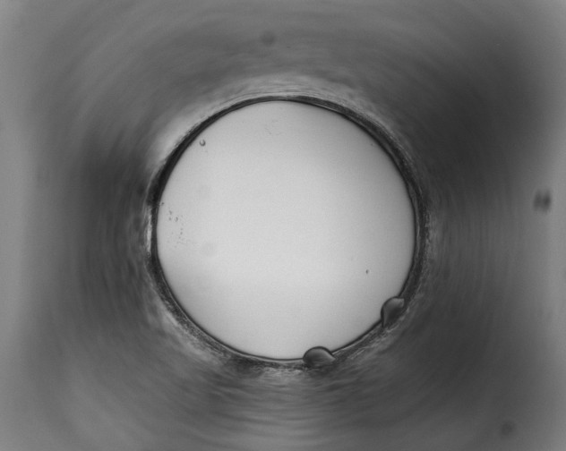 X0000115241509200911201609