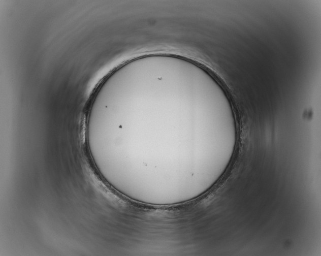 X0000115241510200911201609