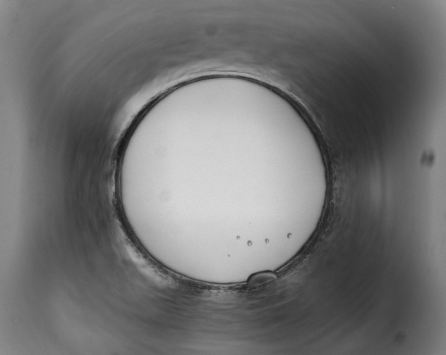 X0000115241511200911201609