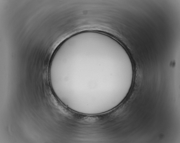 X0000115241513200911201609