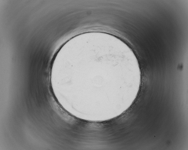 X0000115241514200911201609