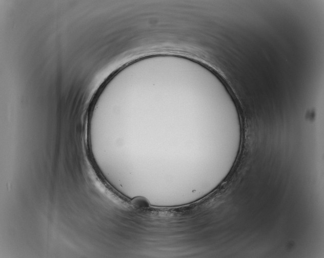 X0000115241515200911201609