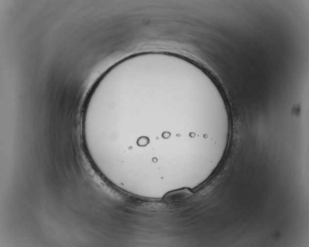 X0000115241517200911201609