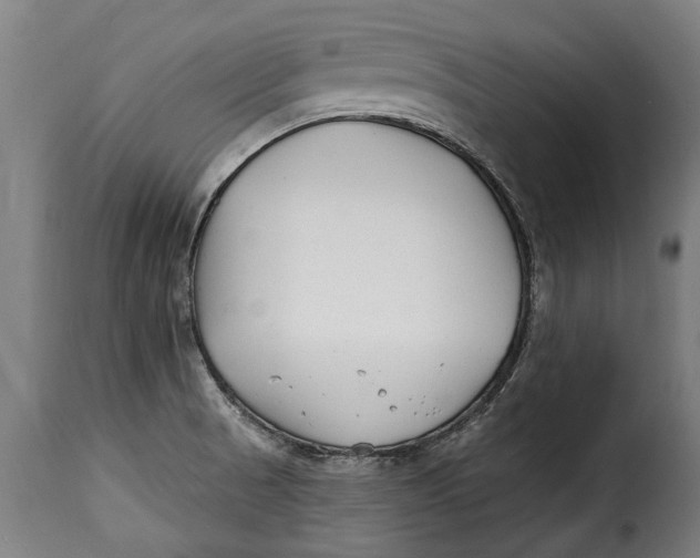 X0000115241521200911201609