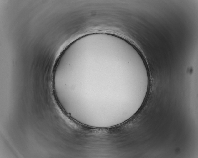 X0000115241525200911201609