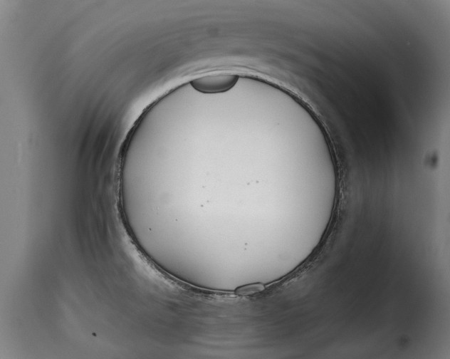 X0000115241526200911201609