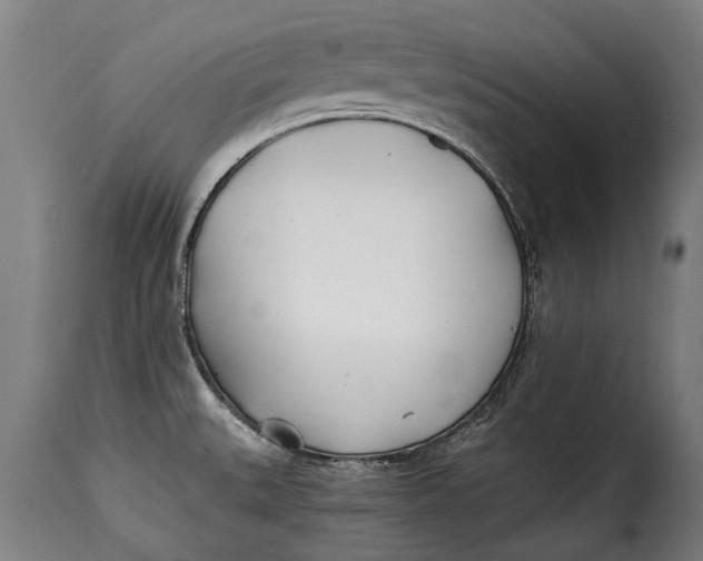 X0000115241527200911201609
