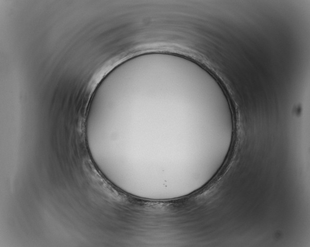 X0000115241529200911201609
