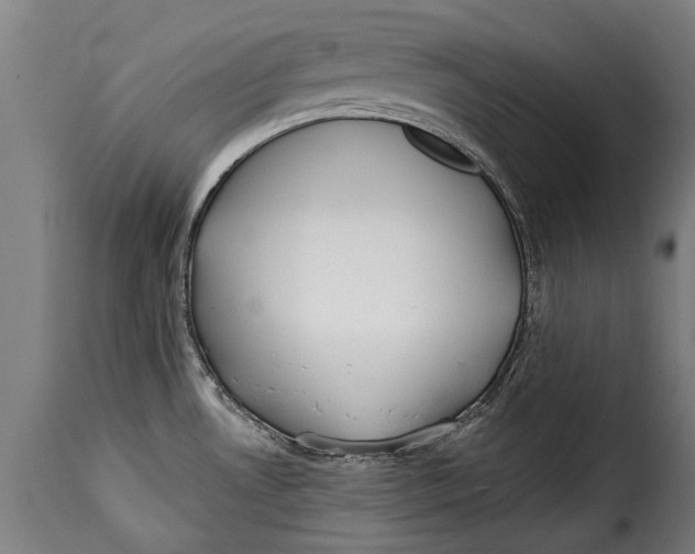 X0000115241530200911201609