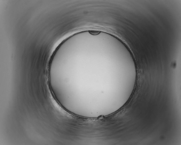 X0000115241531200911201609