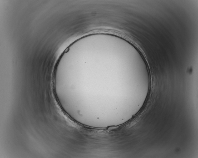 X0000115241533200911201609