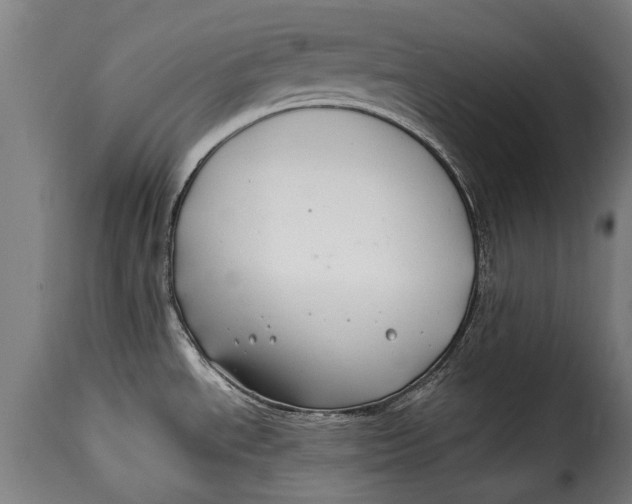 X0000115241534200911201609