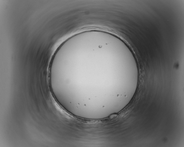 X0000115241535200911201609