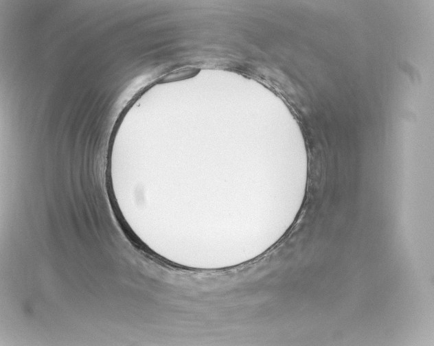 X0000115240003200911271853