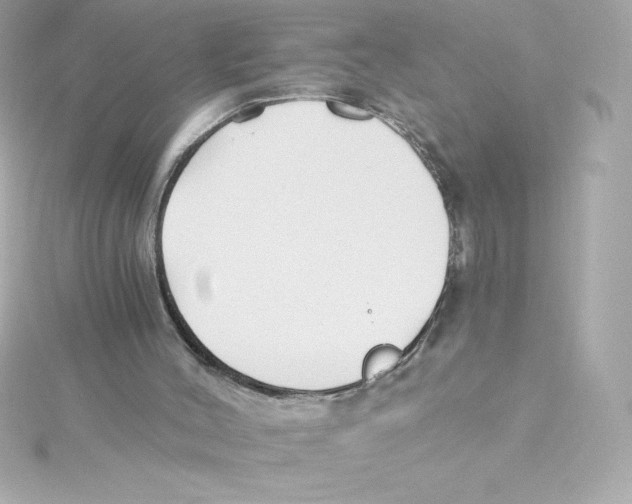 X0000115240004200911271853