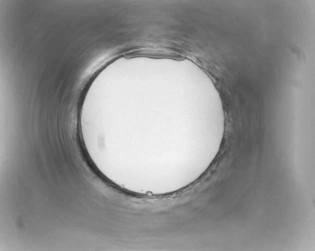 X0000115240005200911271853