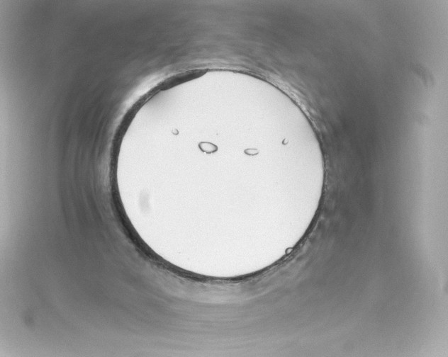 X0000115240008200911271852