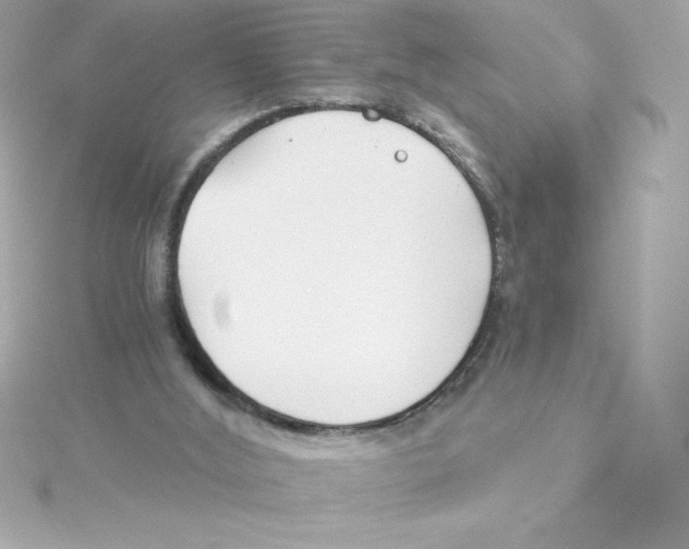 X0000115240012200911271852