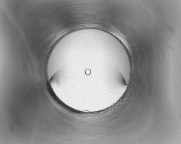 X0000115240013200911271852