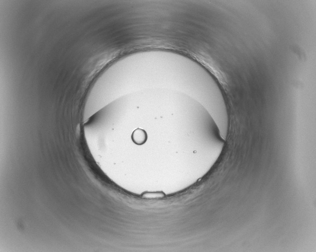 X0000115240014200911271852