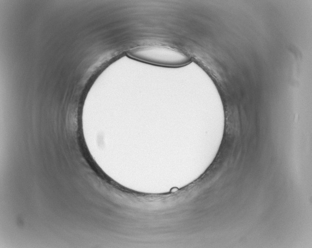 X0000115240015200911271852