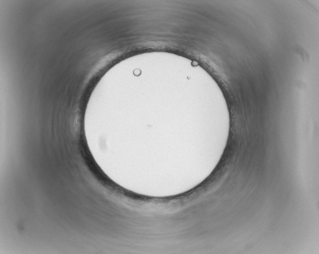 X0000115240016200911271852