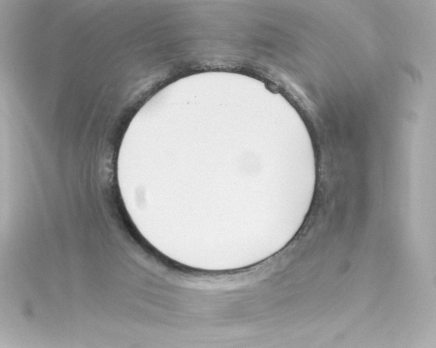 X0000115240017200911271852