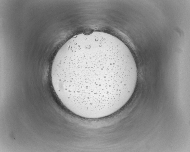 X0000115240018200911271852