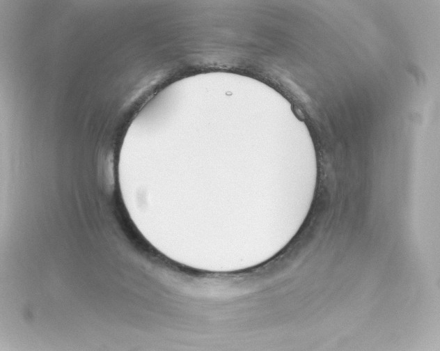 X0000115240020200911271852